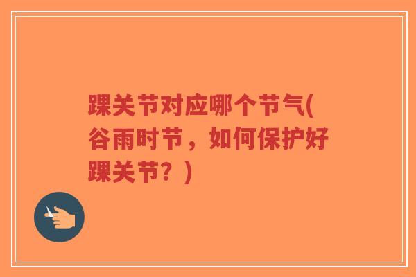 踝关节对应哪个节气(谷雨时节,如何保护好踝关节?)-第1张图片-超越 踝关节对应哪个节气(谷雨时节,如何保护好踝关节?)-第1张图片-超越