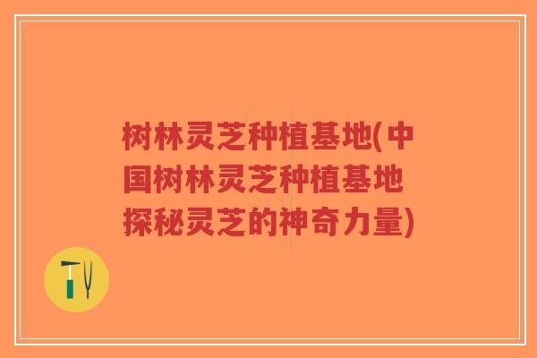 树林灵芝种植基地(中国树林灵芝种植基地 探秘灵芝的神奇力量)-第1张图片-超越 树林灵芝种植基地(中国树林灵芝种植基地 探秘灵芝的神奇力量)-第1张图片-超越