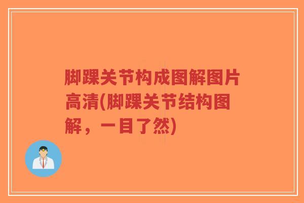 脚踝关节构成图解图片高清(脚踝关节结构图解,一目了然)-第1张图片-超越 脚踝关节构成图解图片高清(脚踝关节结构图解,一目了然)-第1张图片-超越