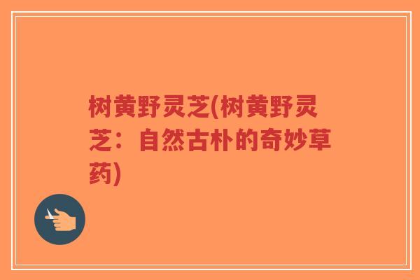 树黄野灵芝(树黄野灵芝:自然古朴的奇妙草药)-第1张图片-超越 树黄野灵芝(树黄野灵芝:自然古朴的奇妙草药)-第1张图片-超越