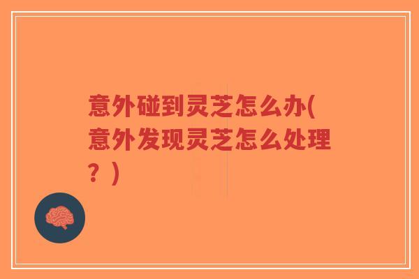 意外碰到灵芝怎么办(意外发现灵芝怎么处理?)-第1张图片-超越 意外碰到灵芝怎么办(意外发现灵芝怎么处理?)-第1张图片-超越