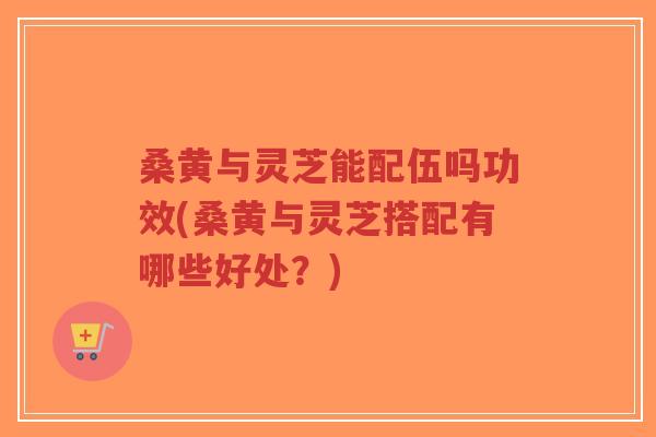 桑黄与灵芝能配伍吗功效(桑黄与灵芝搭配有哪些好处?)-第1张图片-超越 桑黄与灵芝能配伍吗功效(桑黄与灵芝搭配有哪些好处?)-第1张图片-超越