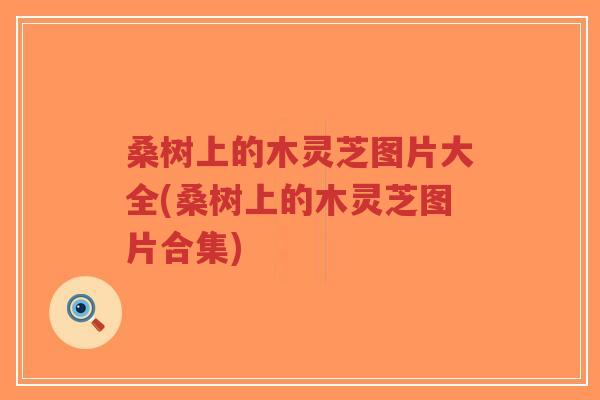 桑树上的木灵芝图片大全(桑树上的木灵芝图片合集)-第1张图片-超越 桑树上的木灵芝图片大全(桑树上的木灵芝图片合集)-第1张图片-超越