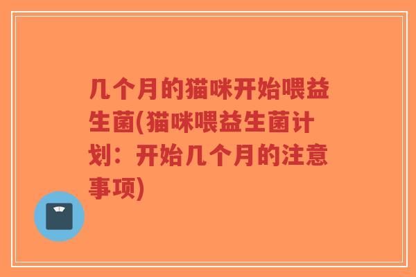 几个月的猫咪开始喂益生菌(猫咪喂益生菌计划:开始几个月的注意事项)-第1张图片-超越 几个月的猫咪开始喂益生菌(猫咪喂益生菌计划:开始几个月的注意事项)-第1张图片-超越