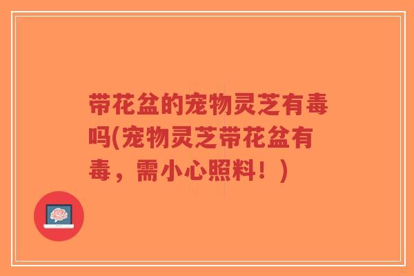 带花盆的宠物灵芝有毒吗(宠物灵芝带花盆有毒,需小心照料!)-第1张图片-超越 带花盆的宠物灵芝有毒吗(宠物灵芝带花盆有毒,需小心照料!)-第1张图片-超越