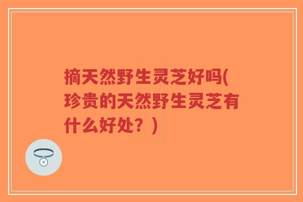 摘天然野生灵芝好吗(珍贵的天然野生灵芝有什么好处？)-第1张图片-超越