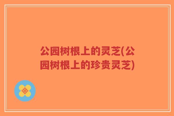 公园树根上的灵芝(公园树根上的珍贵灵芝)-第1张图片-超越 公园树根上的灵芝(公园树根上的珍贵灵芝)-第1张图片-超越