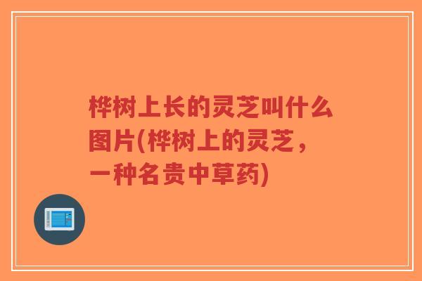 桦树上长的灵芝叫什么图片(桦树上的灵芝,一种名贵中草药)-第1张图片-超越 桦树上长的灵芝叫什么图片(桦树上的灵芝,一种名贵中草药)-第1张图片-超越