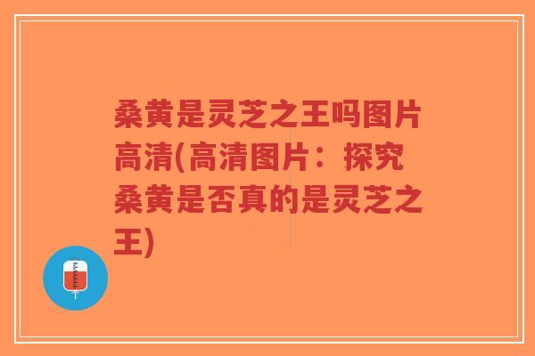 桑黄是灵芝之王吗图片高清(高清图片:探究桑黄是否真的是灵芝之王)-第1张图片-超越 桑黄是灵芝之王吗图片高清(高清图片:探究桑黄是否真的是灵芝之王)-第1张图片-超越