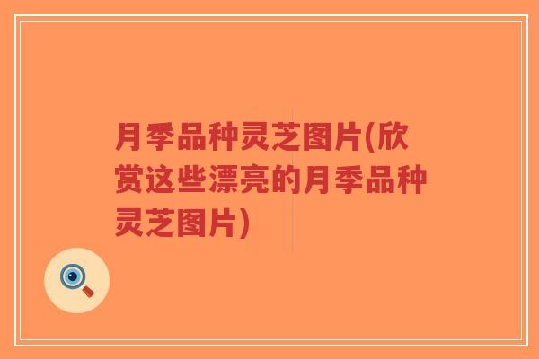 月季品种灵芝图片(欣赏这些漂亮的月季品种灵芝图片)-第1张图片-超越 月季品种灵芝图片(欣赏这些漂亮的月季品种灵芝图片)-第1张图片-超越