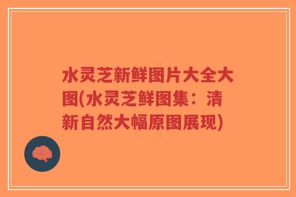 水灵芝新鲜图片大全大图(水灵芝鲜图集：清新自然大幅原图展现)-第1张图片-超越