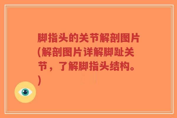 脚指头的关节解剖图片(解剖图片详解脚趾关节，了解脚指头结构。)-第1张图片-超越
