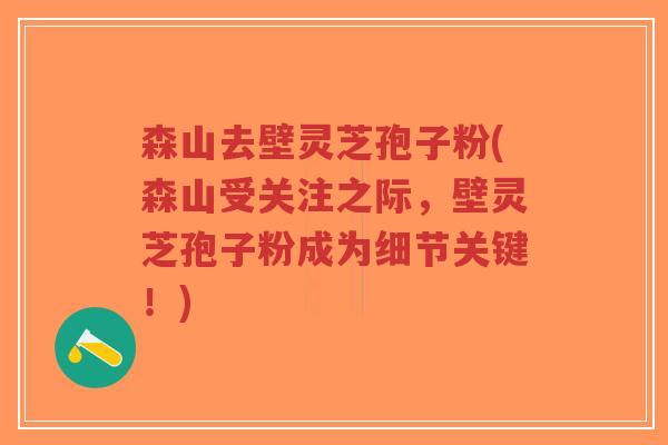 森山去壁灵芝孢子粉(森山受关注之际,壁灵芝孢子粉成为细节关键!)-第1张图片-超越 森山去壁灵芝孢子粉(森山受关注之际,壁灵芝孢子粉成为细节关键!)-第1张图片-超越