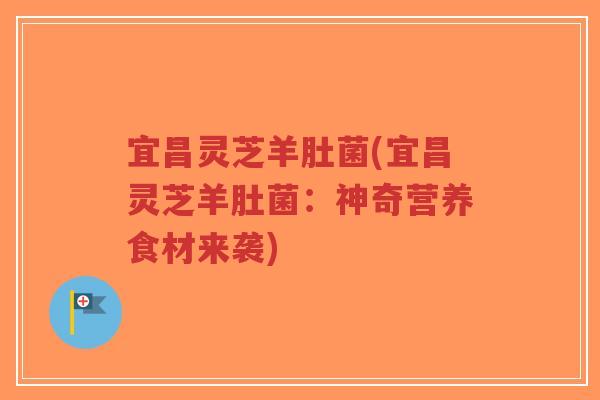 宜昌灵芝羊肚菌(宜昌灵芝羊肚菌:神奇营养食材来袭)-第1张图片-超越 宜昌灵芝羊肚菌(宜昌灵芝羊肚菌:神奇营养食材来袭)-第1张图片-超越