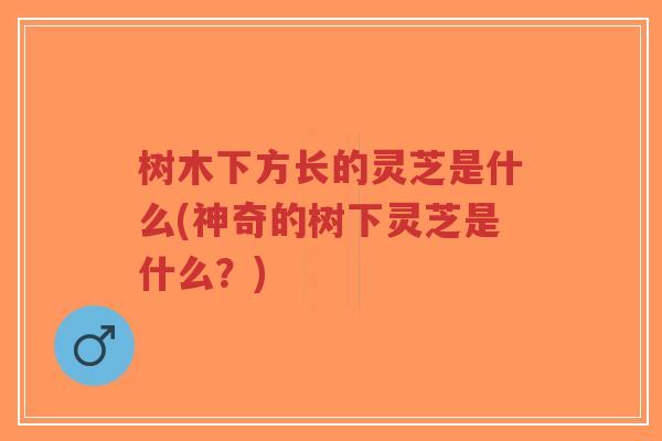 树木下方长的灵芝是什么(神奇的树下灵芝是什么?)-第1张图片-超越 树木下方长的灵芝是什么(神奇的树下灵芝是什么?)-第1张图片-超越