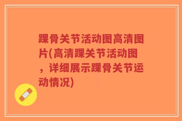 踝骨关节活动图高清图片(高清踝关节活动图,详细展示踝骨关节运动情况)-第1张图片-超越 踝骨关节活动图高清图片(高清踝关节活动图,详细展示踝骨关节运动情况)-第1张图片-超越