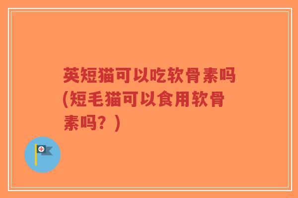 英短猫可以吃软骨素吗(短毛猫可以食用软骨素吗?)-第1张图片-超越 英短猫可以吃软骨素吗(短毛猫可以食用软骨素吗?)-第1张图片-超越