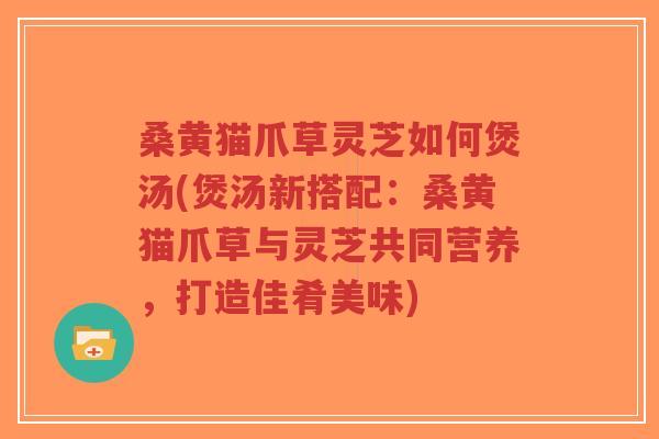 桑黄猫爪草灵芝如何煲汤(煲汤新搭配:桑黄猫爪草与灵芝共同营养,打造佳肴美味)-第1张图片-超越 桑黄猫爪草灵芝如何煲汤(煲汤新搭配:桑黄猫爪草与灵芝共同营养,打造佳肴美味)-第1张图片-超越