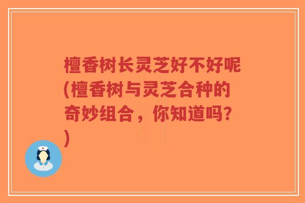 檀香树长灵芝好不好呢(檀香树与灵芝合种的奇妙组合,你知道吗?)-第1张图片-超越 檀香树长灵芝好不好呢(檀香树与灵芝合种的奇妙组合,你知道吗?)-第1张图片-超越