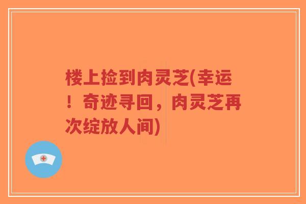 楼上捡到肉灵芝(幸运!奇迹寻回,肉灵芝再次绽放人间)-第1张图片-超越 楼上捡到肉灵芝(幸运!奇迹寻回,肉灵芝再次绽放人间)-第1张图片-超越