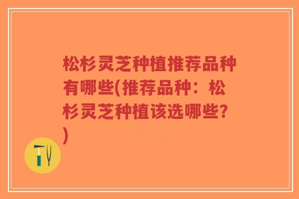 松杉灵芝种植推荐品种有哪些(推荐品种:松杉灵芝种植该选哪些?)-第1张图片-超越 松杉灵芝种植推荐品种有哪些(推荐品种:松杉灵芝种植该选哪些?)-第1张图片-超越