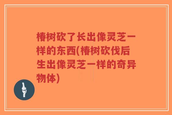 椿树砍了长出像灵芝一样的东西(椿树砍伐后生出像灵芝一样的奇异物体)-第1张图片-超越