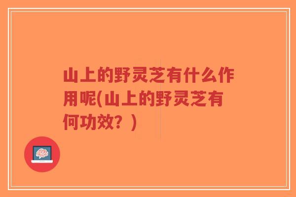 山上的野灵芝有什么作用呢(山上的野灵芝有何功效?)-第1张图片-超越 山上的野灵芝有什么作用呢(山上的野灵芝有何功效?)-第1张图片-超越