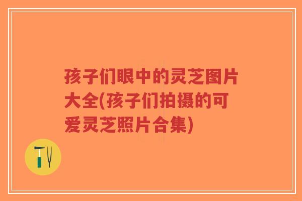 孩子们眼中的灵芝图片大全(孩子们拍摄的可爱灵芝照片合集)-第1张图片-超越 孩子们眼中的灵芝图片大全(孩子们拍摄的可爱灵芝照片合集)-第1张图片-超越