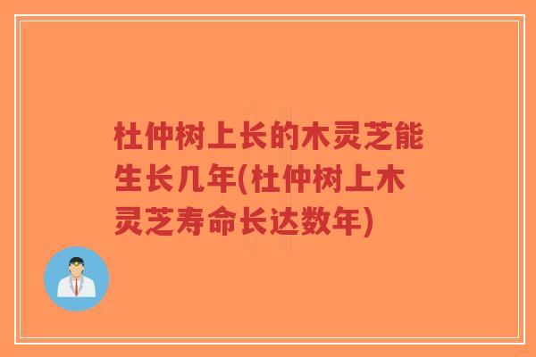 杜仲树上长的木灵芝能生长几年(杜仲树上木灵芝寿命长达数年)-第1张图片-超越 杜仲树上长的木灵芝能生长几年(杜仲树上木灵芝寿命长达数年)-第1张图片-超越