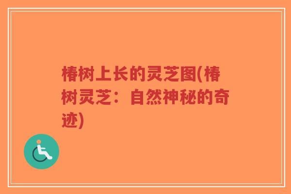 椿树上长的灵芝图(椿树灵芝:自然神秘的奇迹)-第1张图片-超越 椿树上长的灵芝图(椿树灵芝:自然神秘的奇迹)-第1张图片-超越