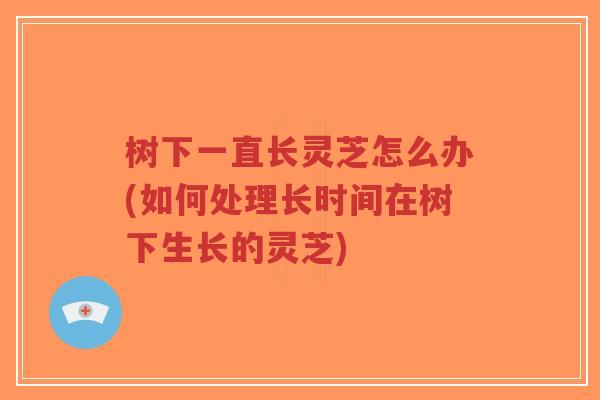 树下一直长灵芝怎么办(如何处理长时间在树下生长的灵芝)-第1张图片-超越 树下一直长灵芝怎么办(如何处理长时间在树下生长的灵芝)-第1张图片-超越