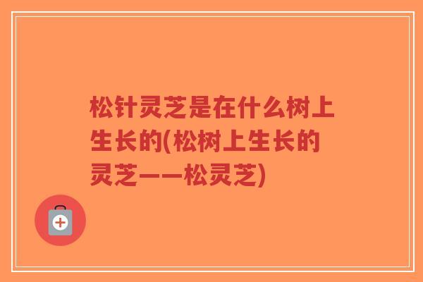 松针灵芝是在什么树上生长的(松树上生长的灵芝——松灵芝)-第1张图片-超越 松针灵芝是在什么树上生长的(松树上生长的灵芝——松灵芝)-第1张图片-超越