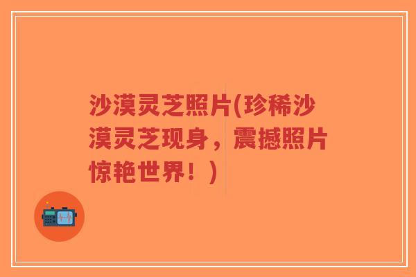 沙漠灵芝照片(珍稀沙漠灵芝现身,震撼照片惊艳世界!)-第1张图片-超越 沙漠灵芝照片(珍稀沙漠灵芝现身,震撼照片惊艳世界!)-第1张图片-超越