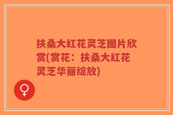 扶桑大红花灵芝图片欣赏(赏花：扶桑大红花灵芝华丽绽放)-第1张图片-超越