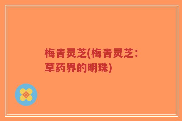 梅青灵芝(梅青灵芝:草药界的明珠)-第1张图片-超越 梅青灵芝(梅青灵芝:草药界的明珠)-第1张图片-超越