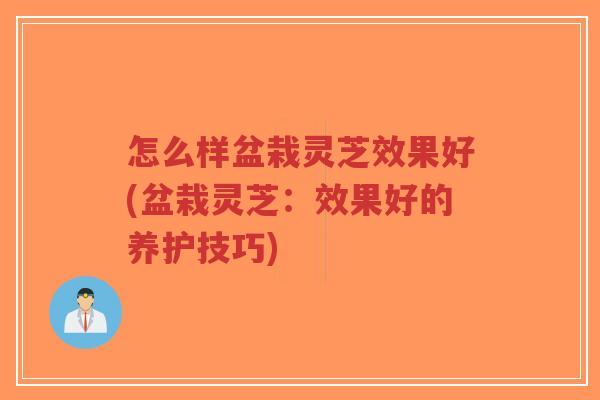 怎么样盆栽灵芝效果好(盆栽灵芝:效果好的养护技巧)-第1张图片-超越 怎么样盆栽灵芝效果好(盆栽灵芝:效果好的养护技巧)-第1张图片-超越