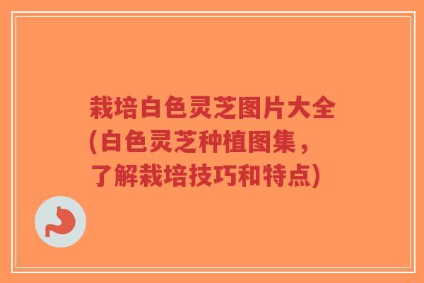 栽培白色灵芝图片大全(白色灵芝种植图集,了解栽培技巧和特点)-第1张图片-超越 栽培白色灵芝图片大全(白色灵芝种植图集,了解栽培技巧和特点)-第1张图片-超越