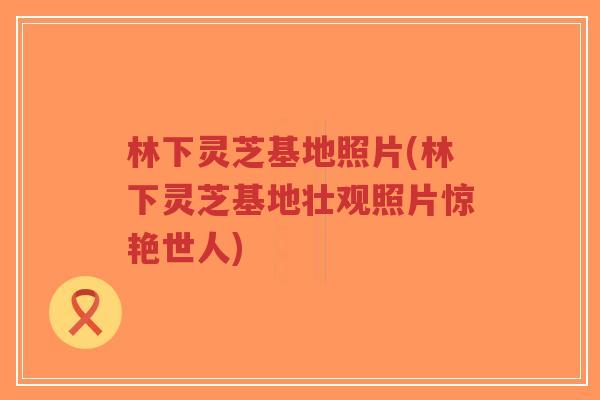 林下灵芝基地照片(林下灵芝基地壮观照片惊艳世人)-第1张图片-超越 林下灵芝基地照片(林下灵芝基地壮观照片惊艳世人)-第1张图片-超越