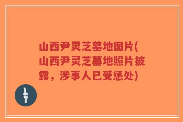 山西尹灵芝墓地图片(山西尹灵芝墓地照片披露,涉事人已受惩处)-第1张图片-超越 山西尹灵芝墓地图片(山西尹灵芝墓地照片披露,涉事人已受惩处)-第1张图片-超越