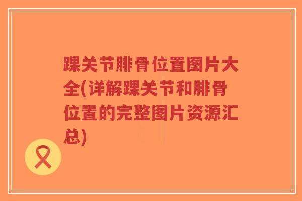 踝关节腓骨位置图片大全(详解踝关节和腓骨位置的完整图片资源汇总)-第1张图片-超越 踝关节腓骨位置图片大全(详解踝关节和腓骨位置的完整图片资源汇总)-第1张图片-超越