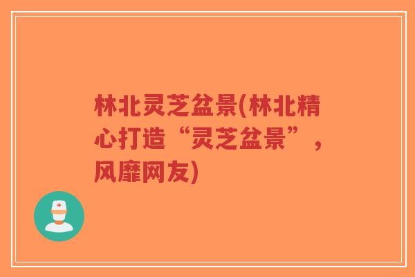 林北灵芝盆景(林北精心打造“灵芝盆景”,风靡网友)-第1张图片-超越 林北灵芝盆景(林北精心打造“灵芝盆景”,风靡网友)-第1张图片-超越