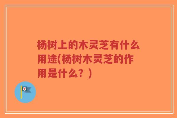 杨树上的木灵芝有什么用途(杨树木灵芝的作用是什么?)-第1张图片-超越 杨树上的木灵芝有什么用途(杨树木灵芝的作用是什么?)-第1张图片-超越