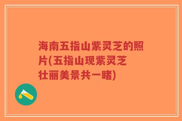海南五指山紫灵芝的照片(五指山现紫灵芝 壮丽美景共一睹)-第1张图片-超越 海南五指山紫灵芝的照片(五指山现紫灵芝 壮丽美景共一睹)-第1张图片-超越
