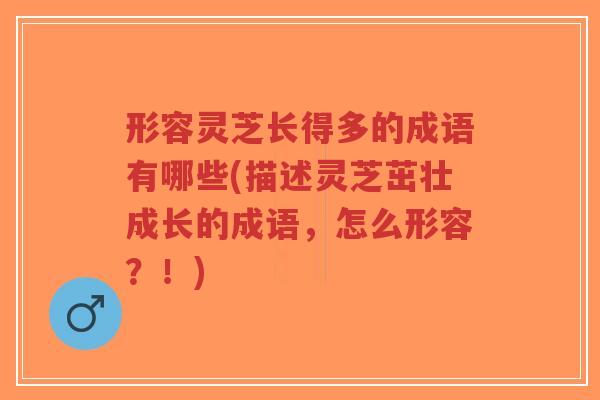 形容灵芝长得多的成语有哪些(描述灵芝茁壮成长的成语,怎么形容?!)-第1张图片-超越 形容灵芝长得多的成语有哪些(描述灵芝茁壮成长的成语,怎么形容?!)-第1张图片-超越