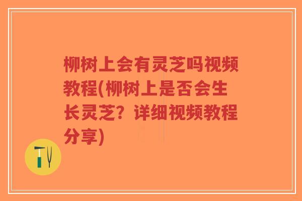 柳树上会有灵芝吗视频教程(柳树上是否会生长灵芝?详细视频教程分享)-第1张图片-超越 柳树上会有灵芝吗视频教程(柳树上是否会生长灵芝?详细视频教程分享)-第1张图片-超越