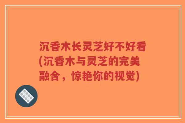 沉香木长灵芝好不好看(沉香木与灵芝的完美融合,惊艳你的视觉)-第1张图片-超越 沉香木长灵芝好不好看(沉香木与灵芝的完美融合,惊艳你的视觉)-第1张图片-超越