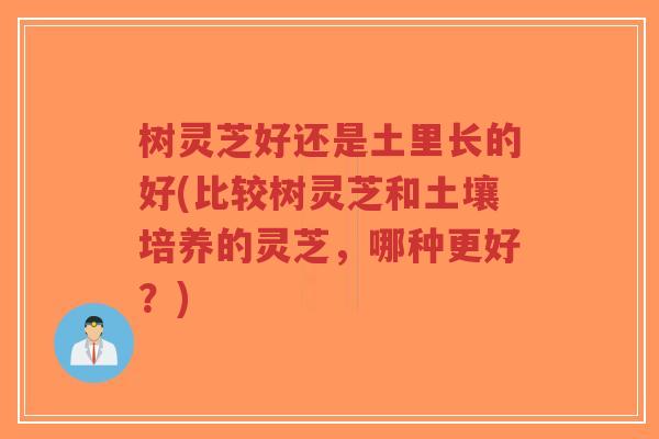树灵芝好还是土里长的好(比较树灵芝和土壤培养的灵芝,哪种更好?)-第1张图片-超越 树灵芝好还是土里长的好(比较树灵芝和土壤培养的灵芝,哪种更好?)-第1张图片-超越