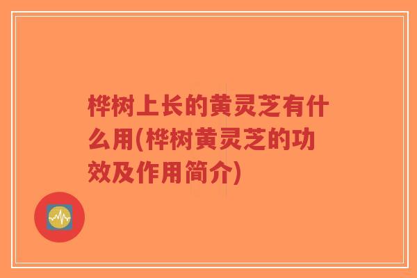 桦树上长的黄灵芝有什么用(桦树黄灵芝的功效及作用简介)-第1张图片-超越 桦树上长的黄灵芝有什么用(桦树黄灵芝的功效及作用简介)-第1张图片-超越