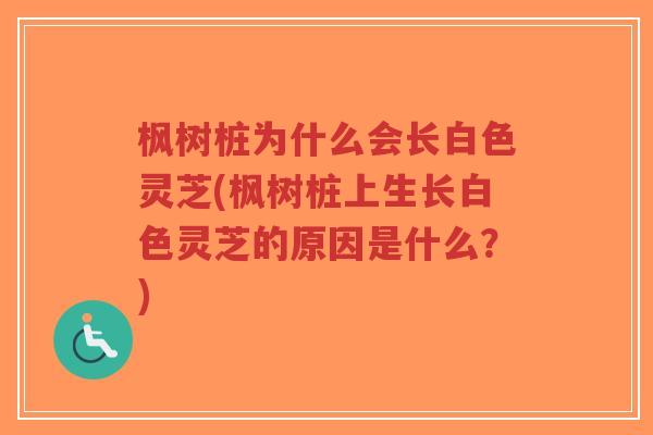 枫树桩为什么会长白色灵芝(枫树桩上生长白色灵芝的原因是什么?)-第1张图片-超越 枫树桩为什么会长白色灵芝(枫树桩上生长白色灵芝的原因是什么?)-第1张图片-超越