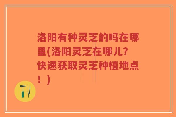 洛阳有种灵芝的吗在哪里(洛阳灵芝在哪儿?快速获取灵芝种植地点!)-第1张图片-超越 洛阳有种灵芝的吗在哪里(洛阳灵芝在哪儿?快速获取灵芝种植地点!)-第1张图片-超越